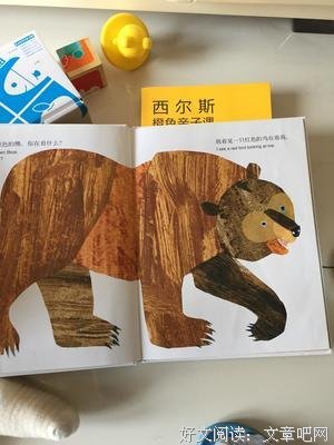 《棕色的世界》读后感精选