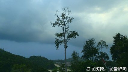 倾盆大雨的语句摘抄_关于倾盆大雨的语句
