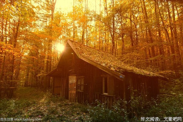 《汤姆叔叔的小屋》的影评大全
