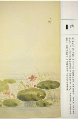 《诗经名物图解：美了千年 却被淡忘》的读后感大全