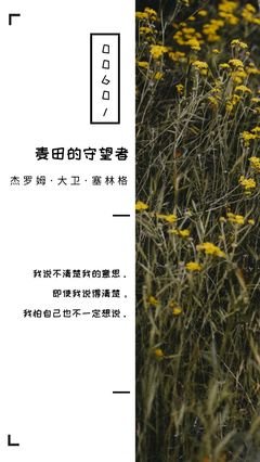 想说能真那个说经典的句子