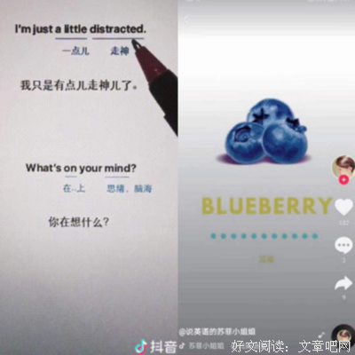 苏菲的国物后如也作名句欣赏