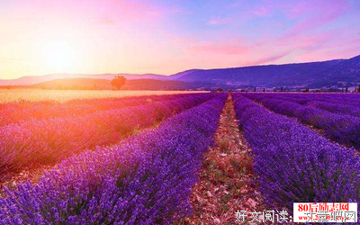 关于唯美短句的句子