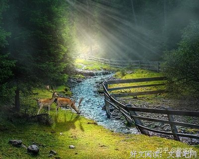 哲与思名句欣赏