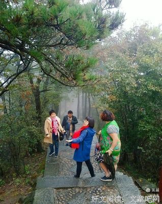秋雨梧桐叶落时句子大全