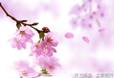 然来然门经典的句子
