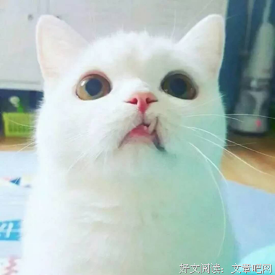因为爱情句子大全