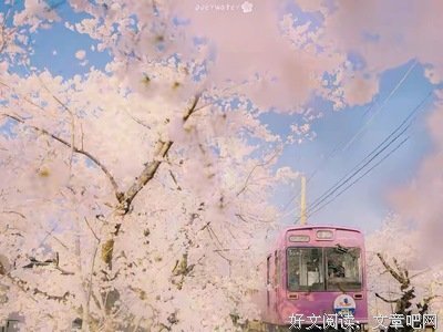关于回首，依旧的优美句子