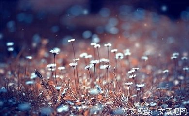 陷入爱情时的句子