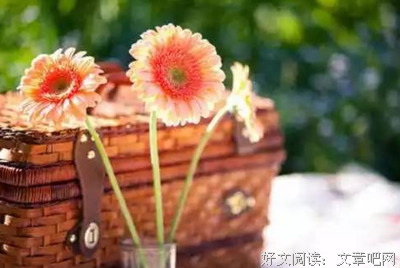 冬日阳光经典的句子
