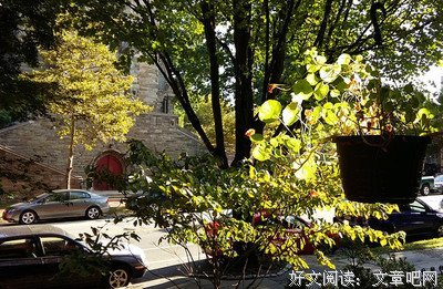 拾起，散碎的微光优美的句子