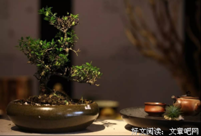 有关一个人Alone座右铭