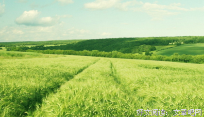 最全的《无法企及》经典语录
