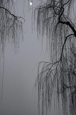 最全的《时光流金》经典名句大全