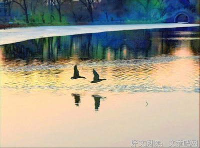 《我们的田野》好看吗？经典观后感锦集