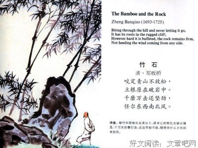 《金刚不坏》经典观后感1000字
