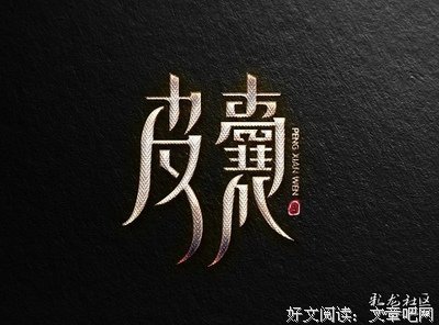 皮囊之下读后感摘抄