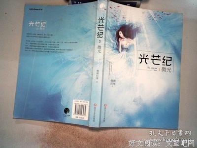 《光芒纪·微光》读后感摘抄