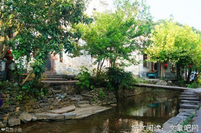 《任你行》经典读后感有感