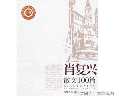 《关于我和肖的一切》读后感100字
