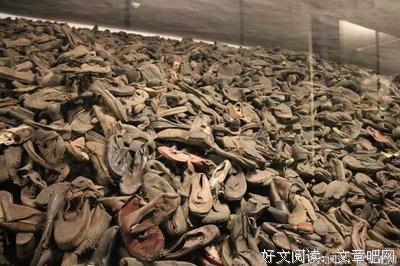 《奥斯维辛》读后感精选