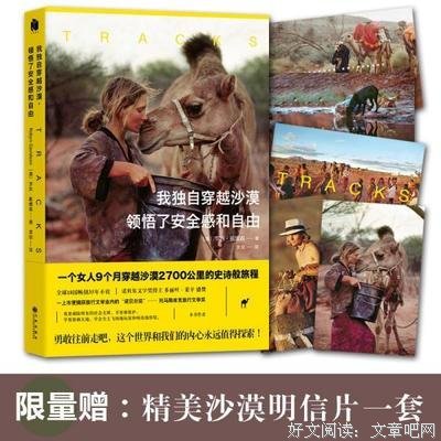《我独自穿越沙漠，领悟了安全感和自由》读后感100字