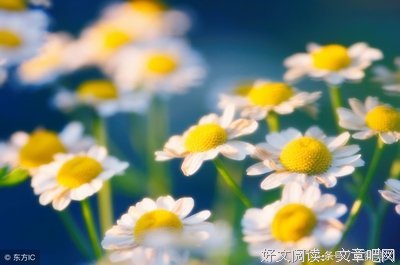 千锤百炼的句子