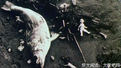 《东京新爱人》观后感精选