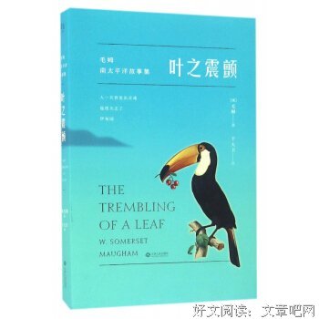 叶之震颤读后感摘抄