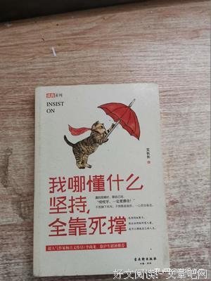 我哪懂什么坚持，全靠死撑经典读后感有感