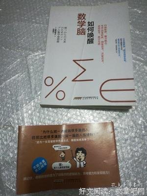 《如何唤醒数学脑》读后感100字