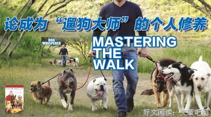 《狗语者 第一季》经典观后感有感