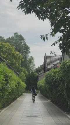 木落尘风的优美句子