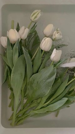 关于图文的句子