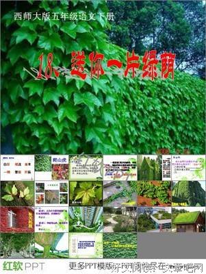 着那什米的优美句子