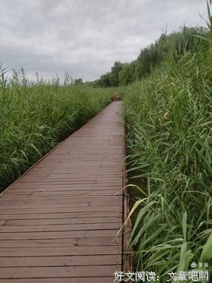 集锦的句子