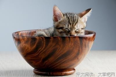 不明不白句子
