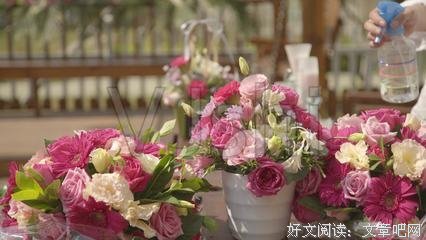 把就道是粉玫瑰小院句子大全