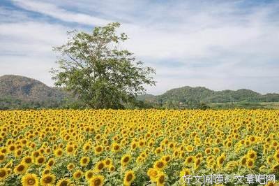 关于触动我心的优美句子