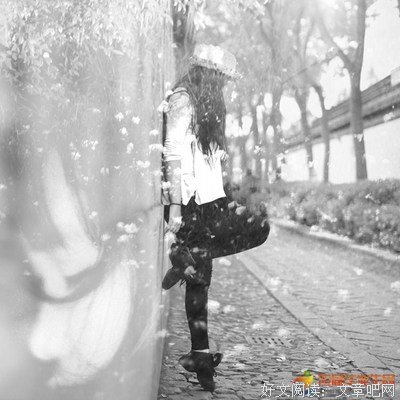 关于我亦飘零久的句子