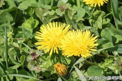 有关睿智的句子