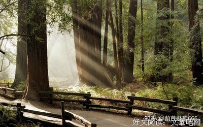 有关查理·芒格名句欣赏