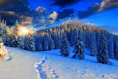 最新的《星光璀璨》好段摘抄