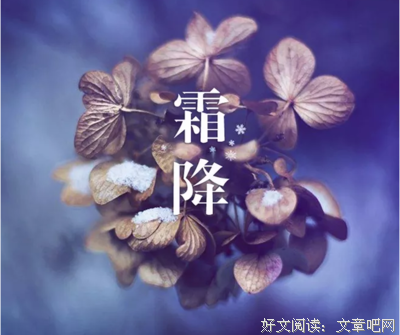《晚秋的诗》经典的句子