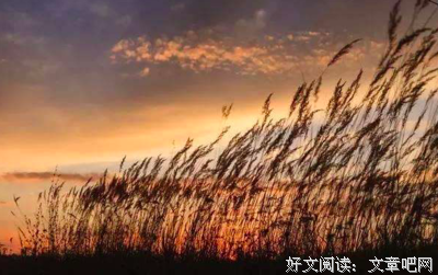 最经典的《暗风吹雨》佳句摘抄