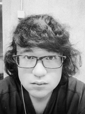 《对话尼克松》经典影评1000字