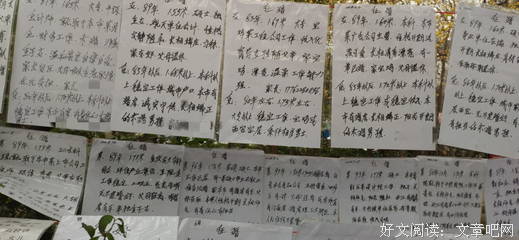 《红娘》观后感100字