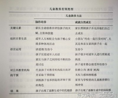 比萨诗章读后感锦集