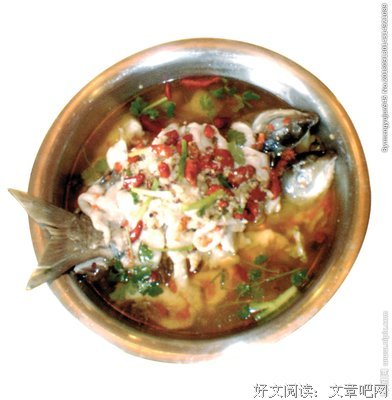 《鱼王》的读后感大全