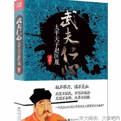 武夫仁心：太平天子赵匡胤的读后感大全